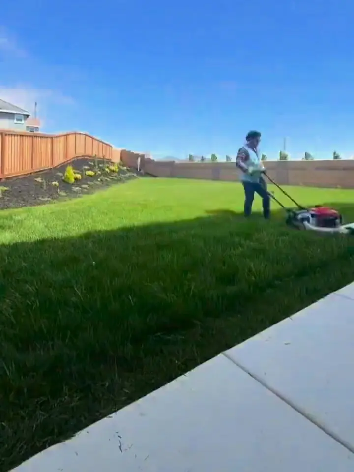 Eco Scapes crew member in a hi-vis vest pushing a mower across a large backyard lawn beside a wood fence and a planted slope