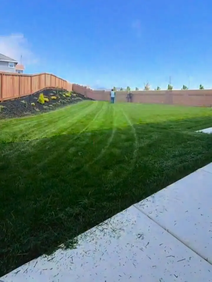 Fresh mow stripes across a large backyard lawn beside a planted slope and a wood fence, a crew member mowing in the distance