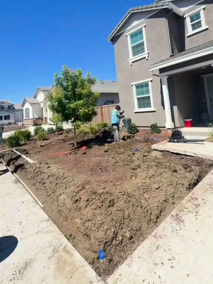 Graded bare soil in a front yard with wood edging boards and blue markers, a young tree and a crew member working by the porch