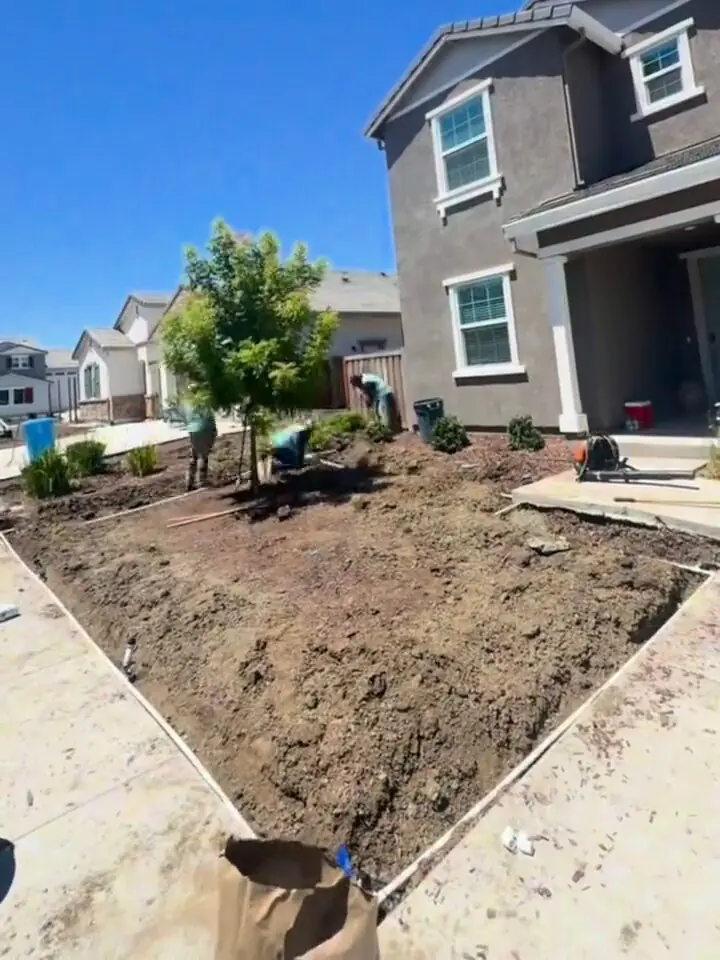 Eco Scapes crew working the beds of a graded front yard around a young tree, with wood edging boards along the walkway