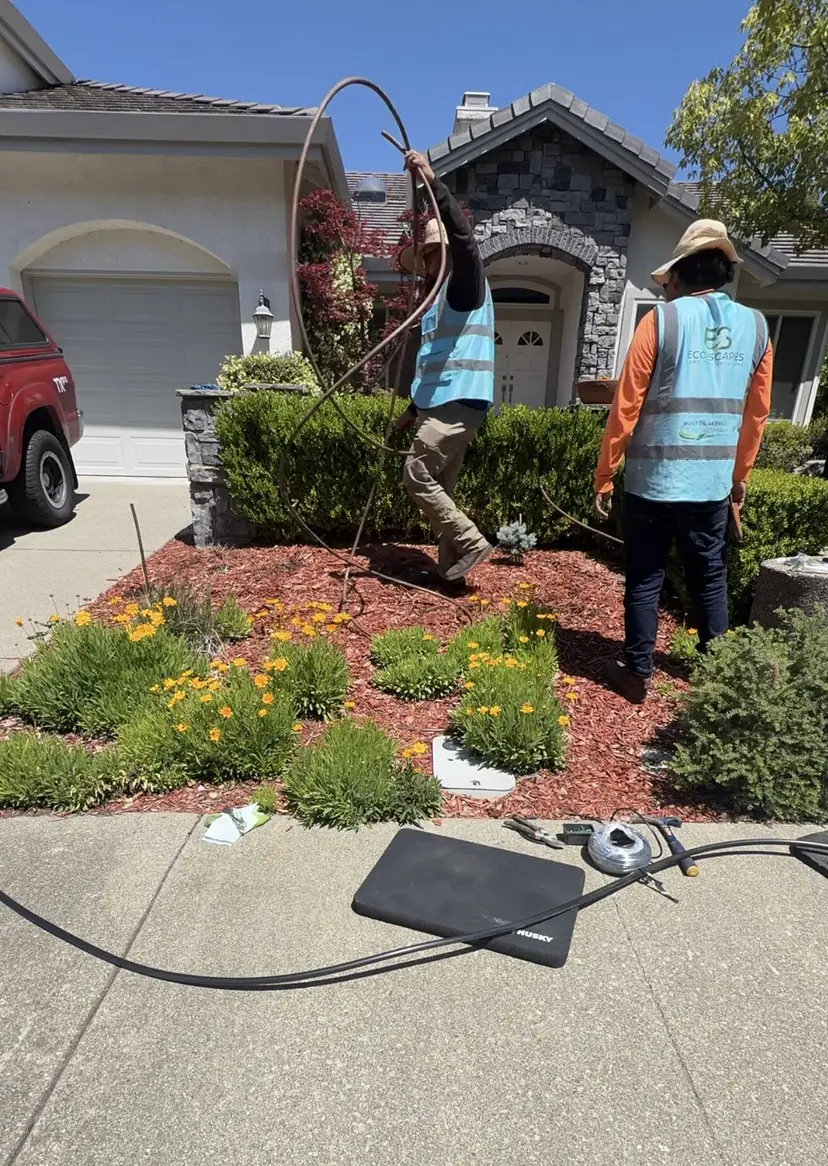 Two Eco Scapes crew members laying out irrigation tubing across a mulched front-yard planting bed with yellow flowers