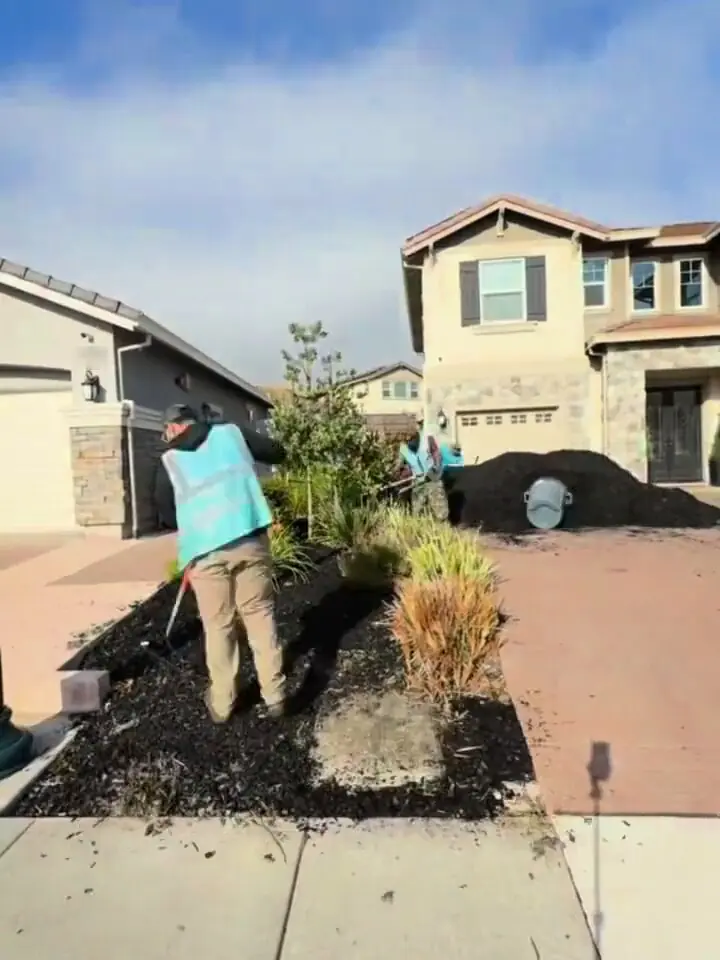Crew member raking dark mulch into a front-yard bed beside a driveway while a teammate works at the mulch pile