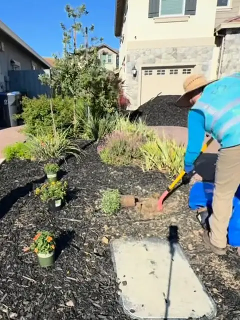 Crew member in a straw hat and hi-vis vest digging planting holes with a shovel in a mulched front-yard bed, potted flowers waiting nearby