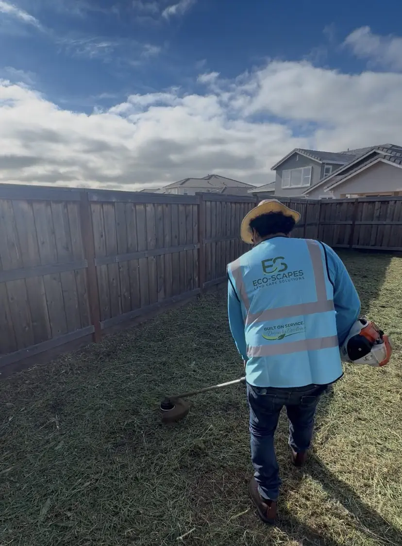 Crew member in an Eco Scapes vest string-trimming a backyard lawn along a wood fence