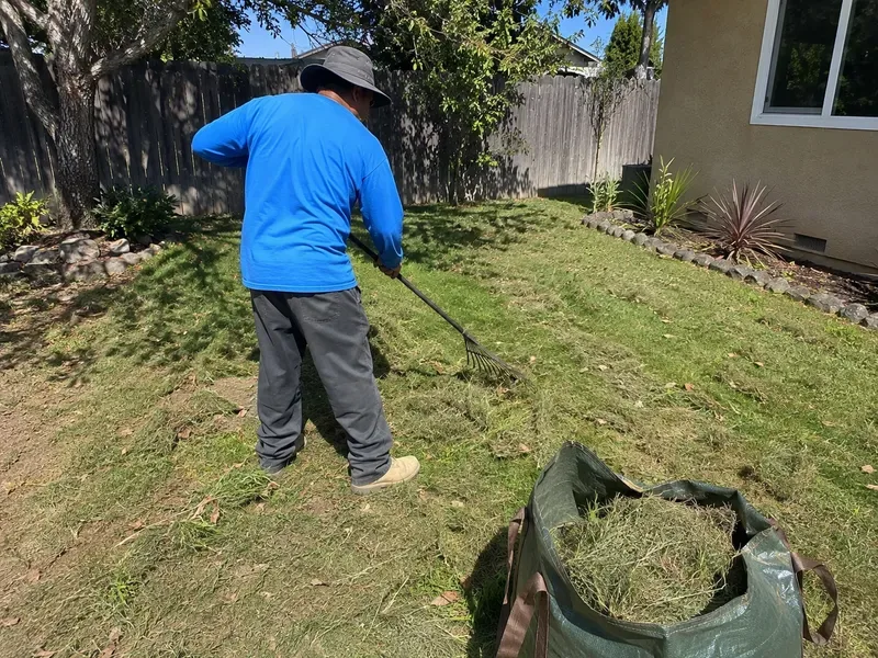 Crew member raking leaves and doing yard cleanup at a residential property in California