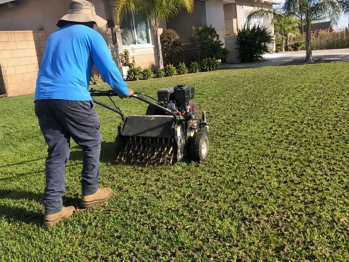 Lawn aerator machine on a green residential lawn with soil plugs visible in California